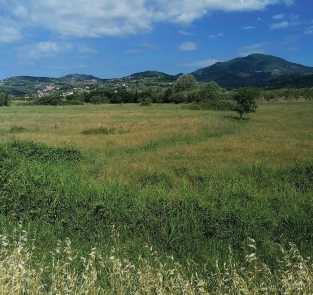Località: <span>Verduzio</span>