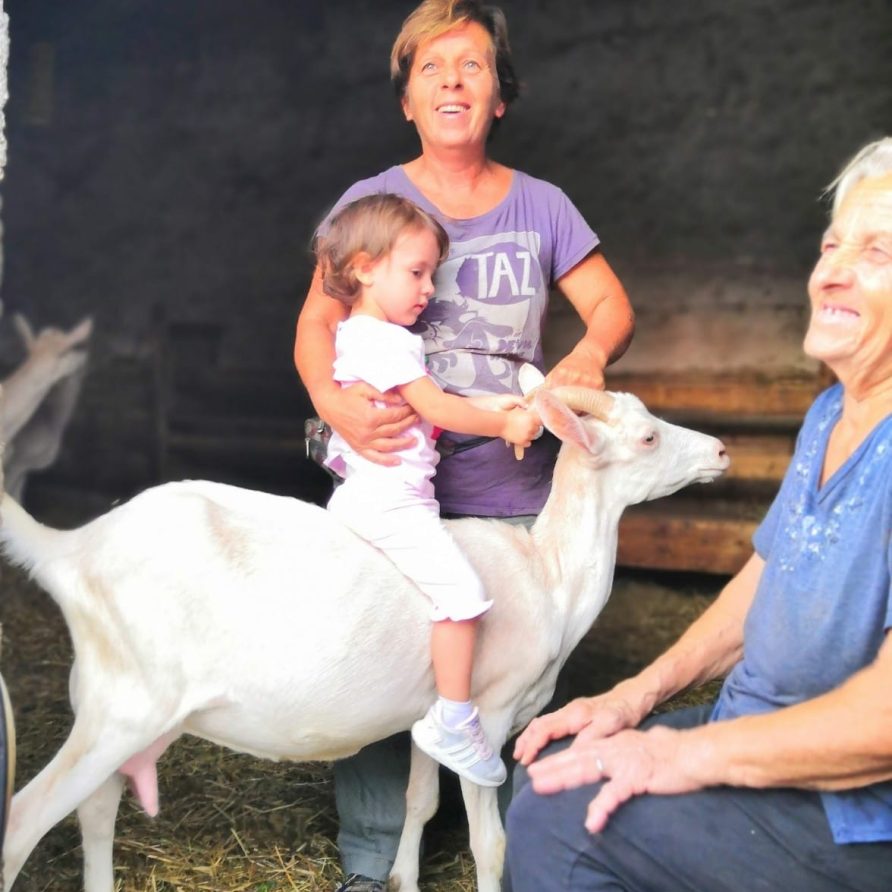 Visita e Degustazione – Azienda Agricola L’Arenaro